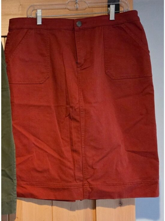 Christopher & Banks Dresses & Skirts - Christopher & Banks Stretch  Orange Paneled MIDI Skirt Size 14